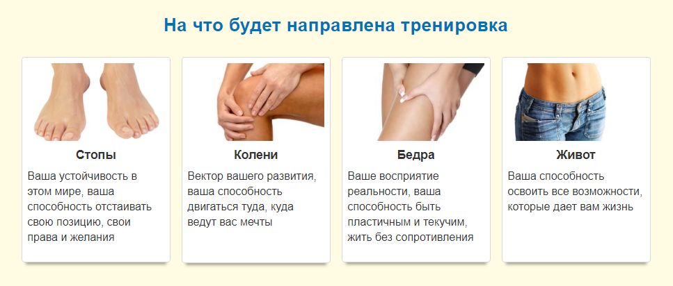фит.jpg