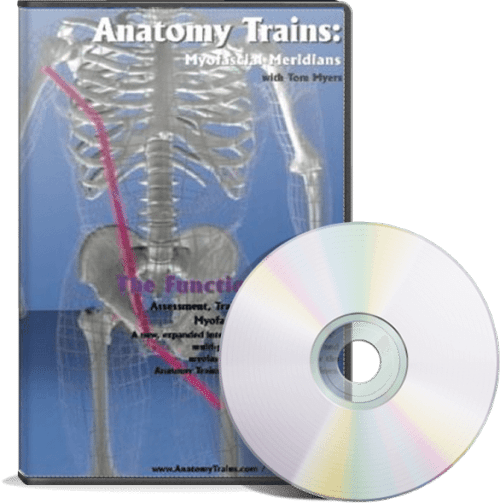 functional-lines-dvd-500x503.png