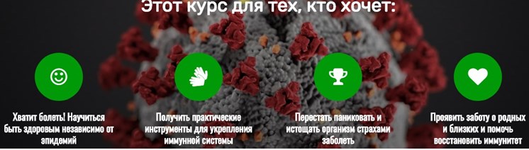 голтис1.jpg