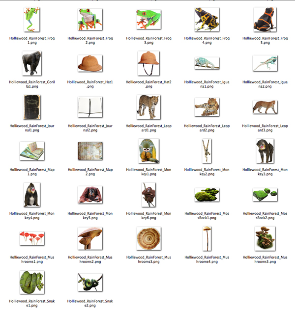Holliewood_RainForest_Elements3.jpg
