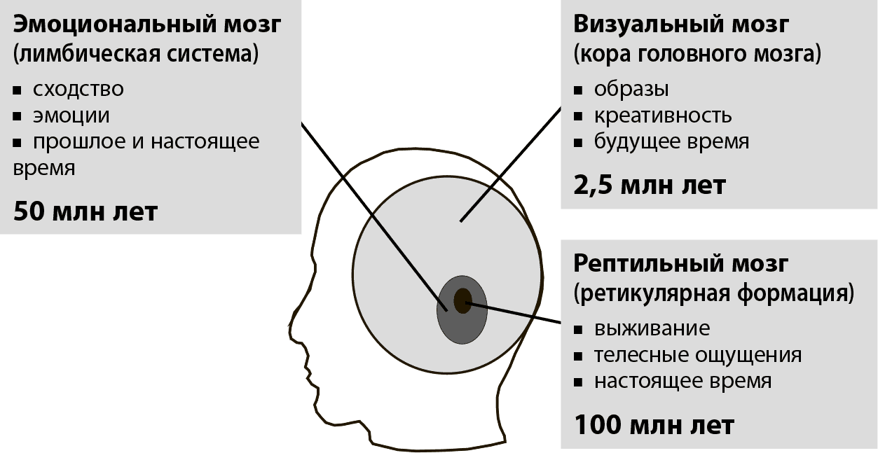 i_002.png