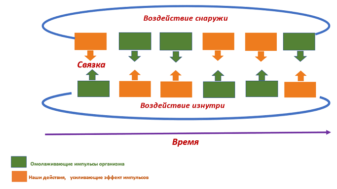 image1.png