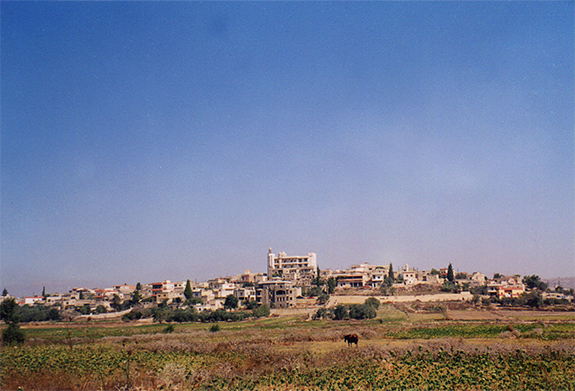 img002.jpg
