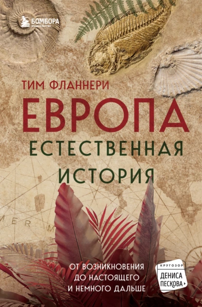 изображение_2023-04-17_163841514.png