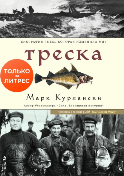 изображение_2023-04-17_164231014.png