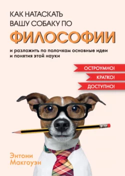 изображение_2024-01-11_204311759.png