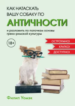 изображение_2024-01-11_204414842.png