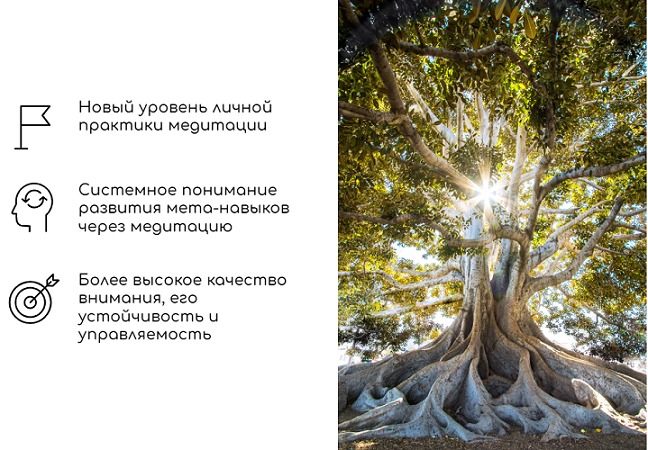изображение_2024-07-08_174337679.png