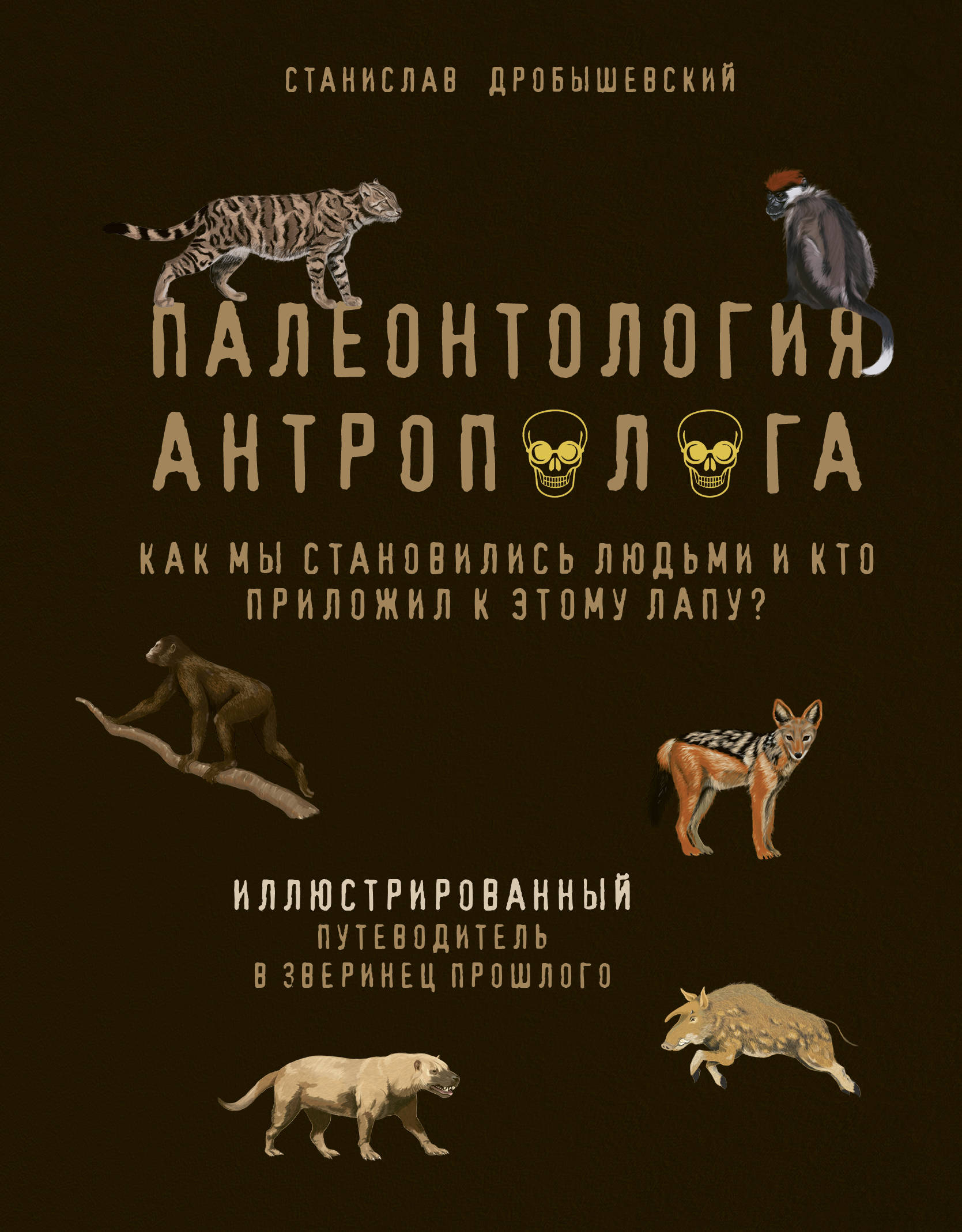 KA-00317116.jpg