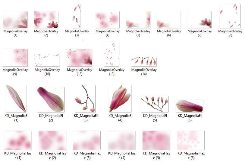 KimlaDesigns_Magnolia_Photo_overlays_folder_1024x1024.jpg