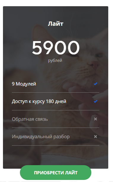 лайт.png