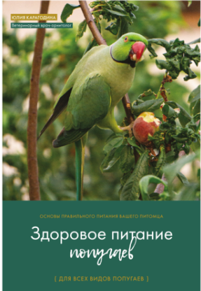 методичка.png