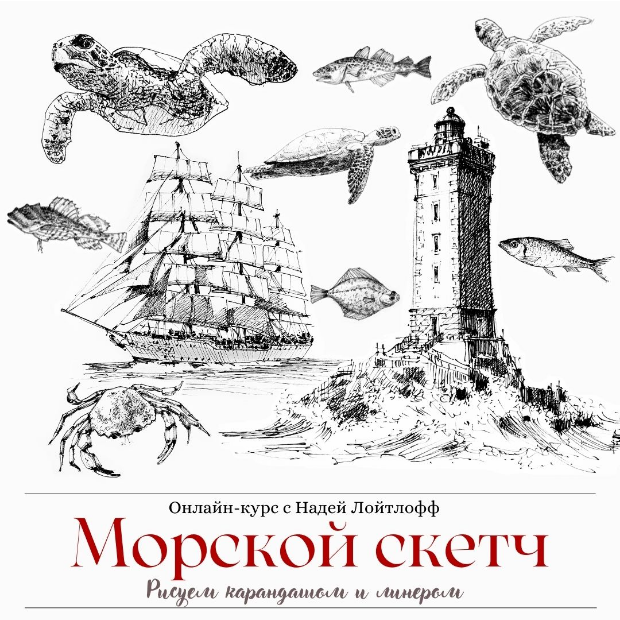 морской скетч.png