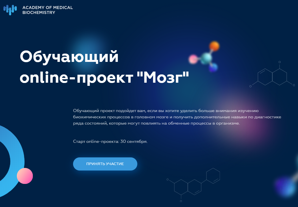 мозг1.png