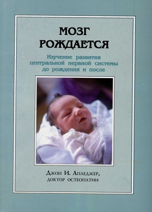 mozg_rozhdayetsya.800x600.jpg