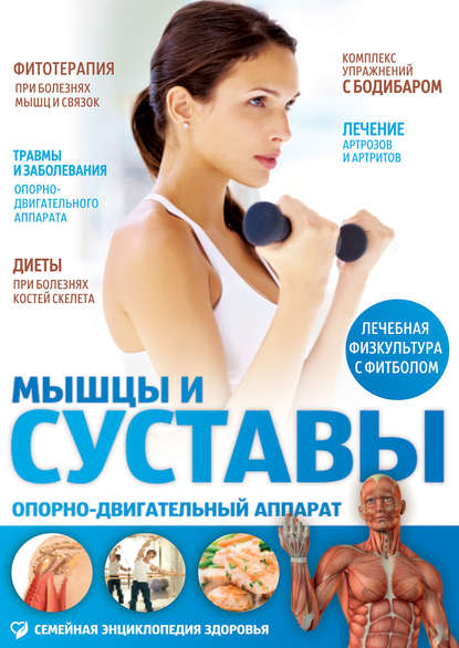 Мышцы и суставы.jpg