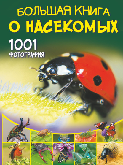 насекомые.jpg