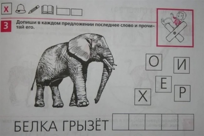 орех.jpg