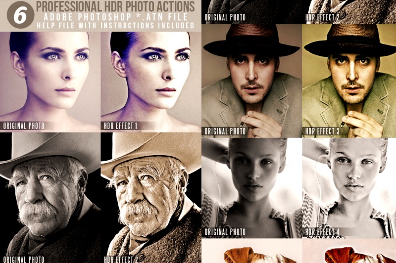 photoact2-800x532.jpg