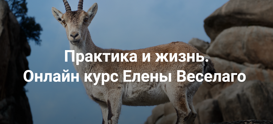 пиж.png