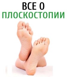 пл1.jpg