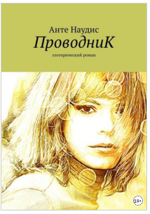 проводнеик.png