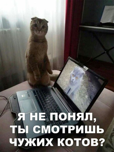 -QdDsuoGaE4_gqwJhOiMt5a-Y4VvIKRRn9pCec7KXJvaDF8-iOlUGDs1rJ1Zx5YiYU1hzr9L.jpg
