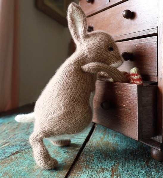 Rabbit31.jpg