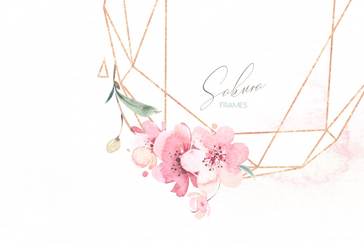 sakura_cm_12-.jpg
