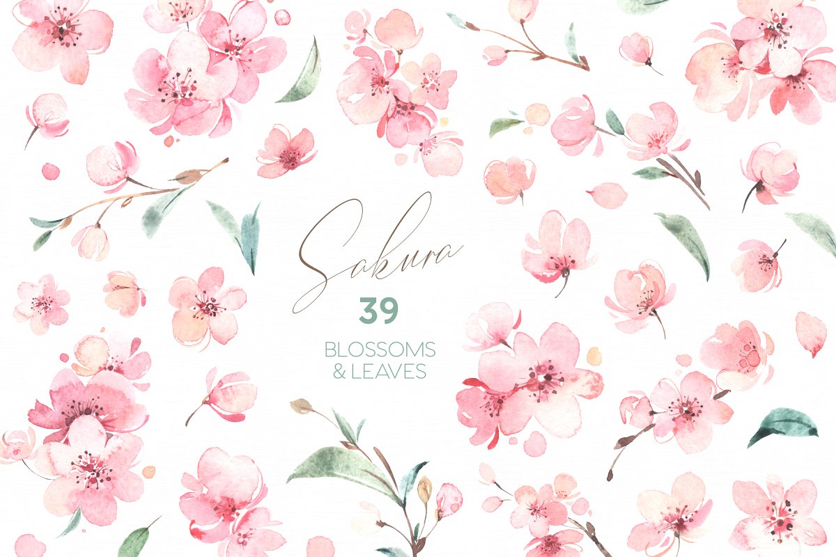 sakura_cm_15-.jpg