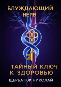 scr (3).png