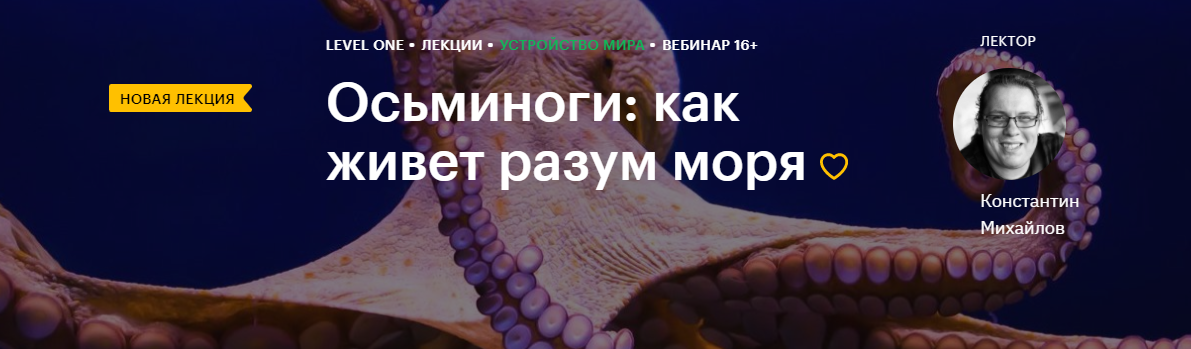 Screenshot.png