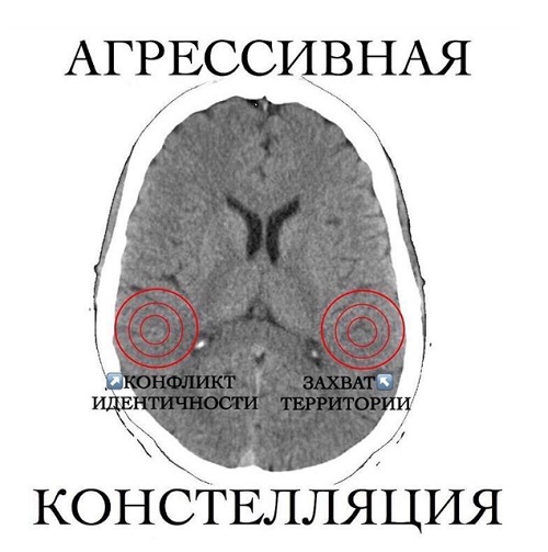 Screenshot_12.jpg