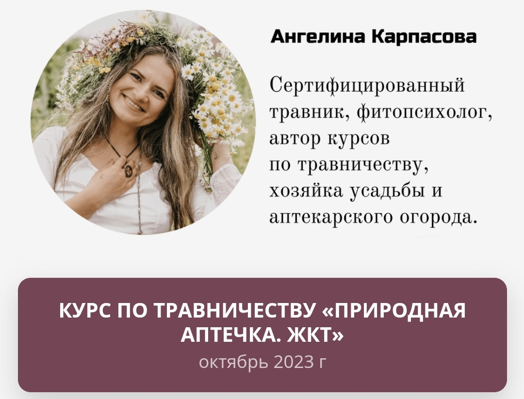 Screenshot_20230908_043639_Browser.jpg
