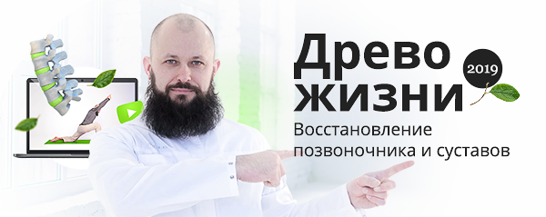 shapka.png
