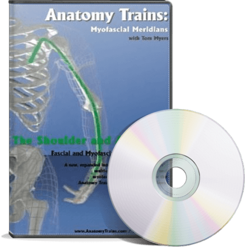 shoulder-arm-dvd-500x503.png