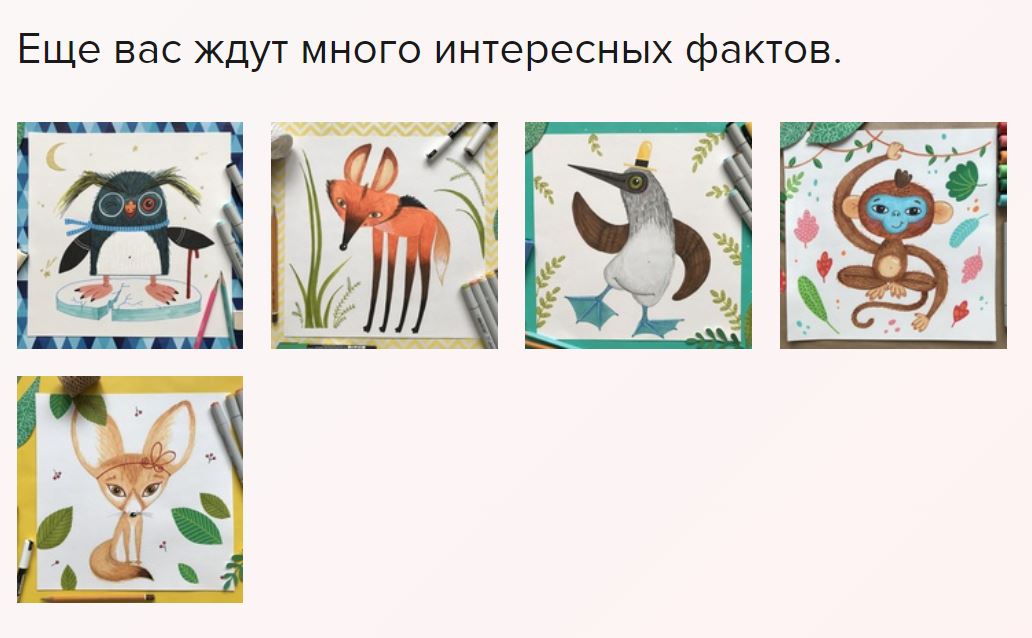Снимок.JPG