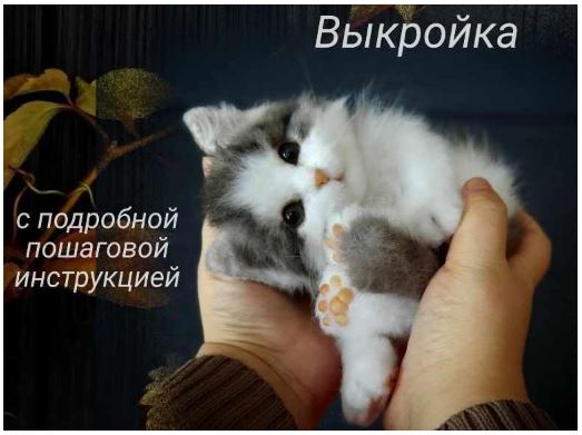 Снимок.JPG