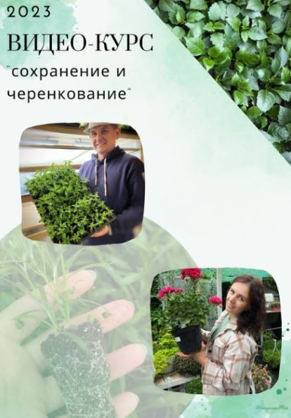Снимок.JPG