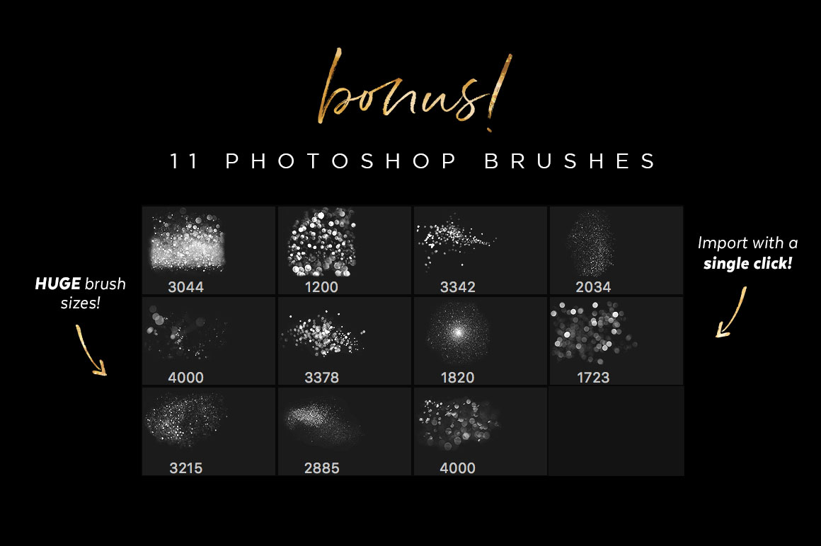 Stardust-6.jpg