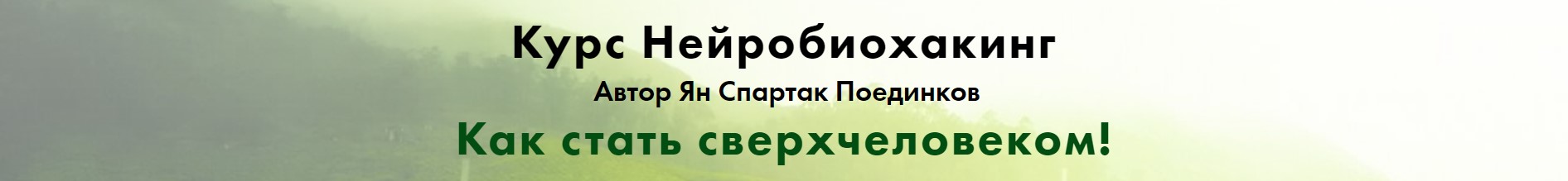 т1.jpg