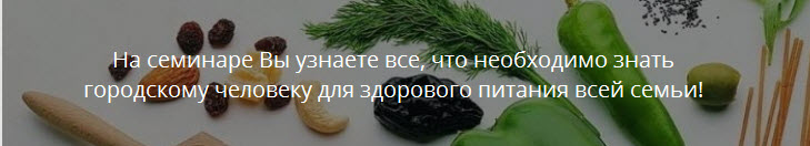 t2.jpg
