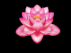 upload_2018-6-6_0-24-45.png