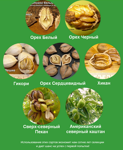 upload_2019-3-26_23-26-2.png