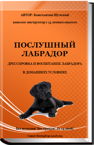 upload_2019-4-8_20-39-28.png