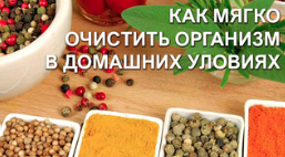 upload_2020-1-23_13-34-10.png