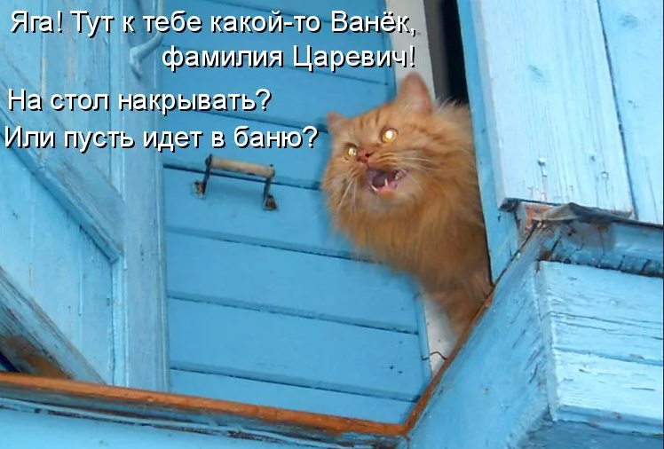 upload_2021-12-13_13-52-23.png
