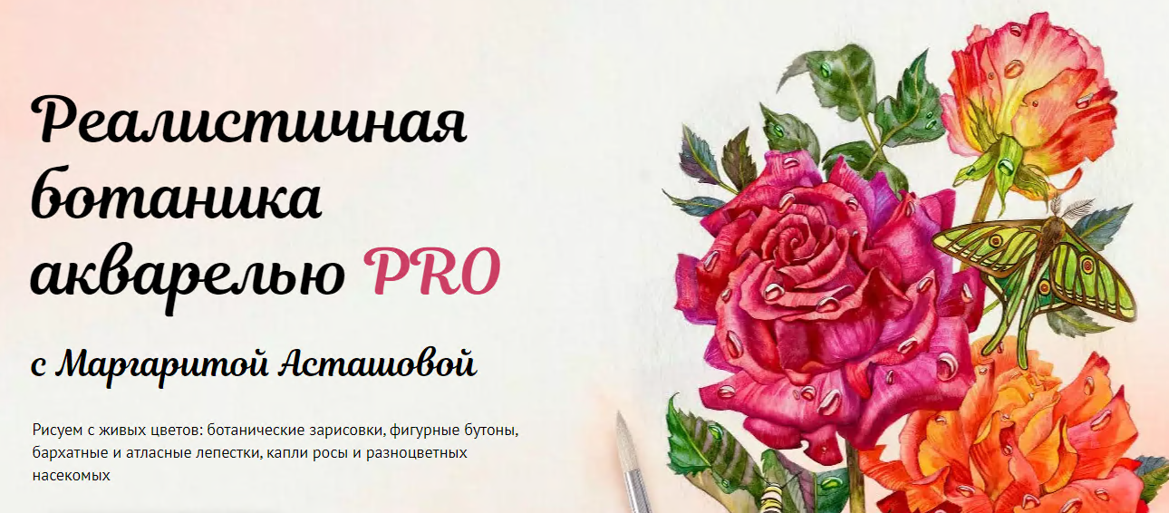 upload_2023-6-1_9-45-51.png