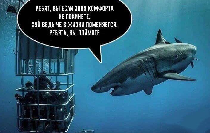 upload_2023-7-28_13-44-43.png