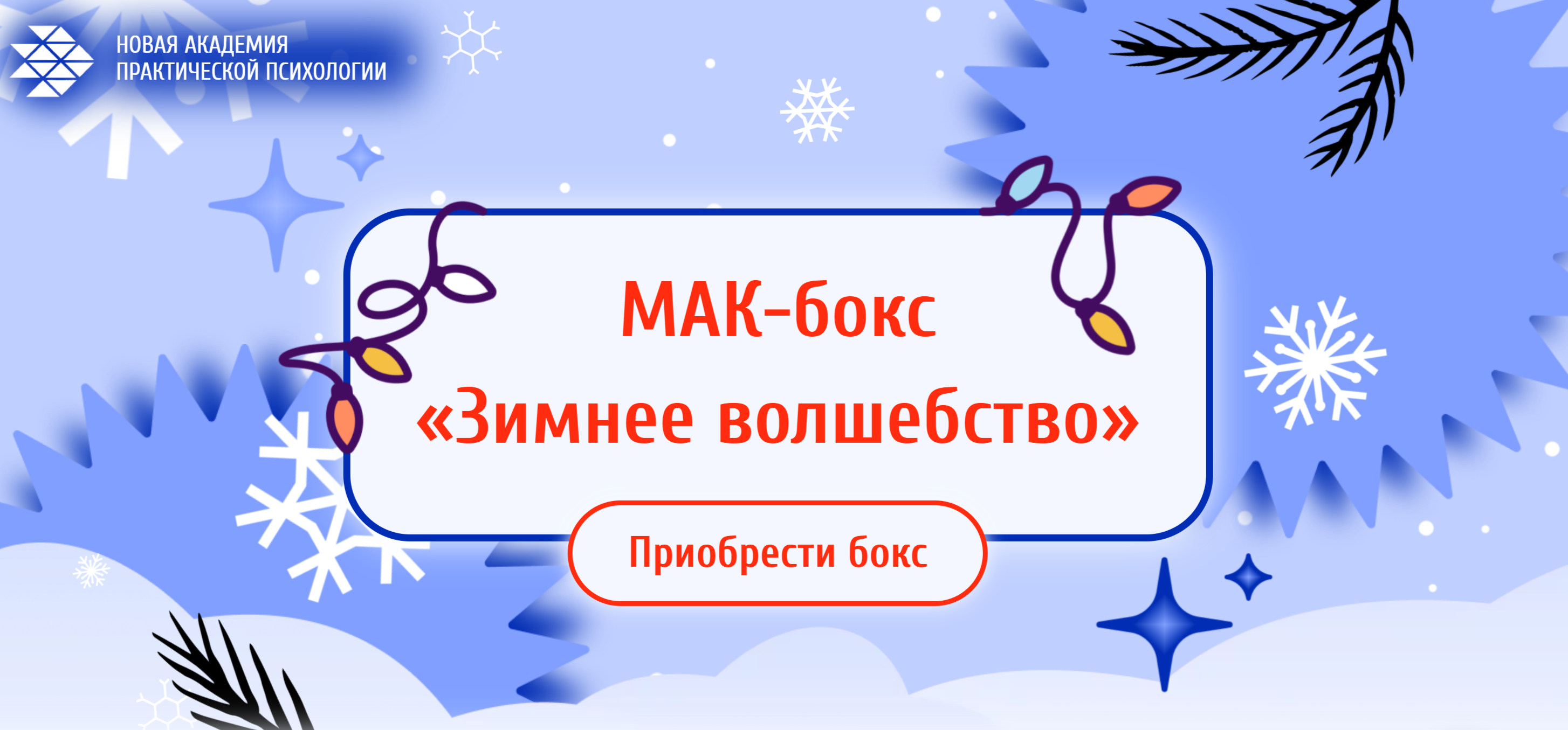 upload_2024-2-14_19-32-51.png